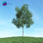 مدل سه بعدی درخت 003 3Dsmax | Vray | Tree memarbash.com 003