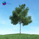 مدل سه بعدی درخت 004 3Dsmax | Vray | Tree memarbash.com 004