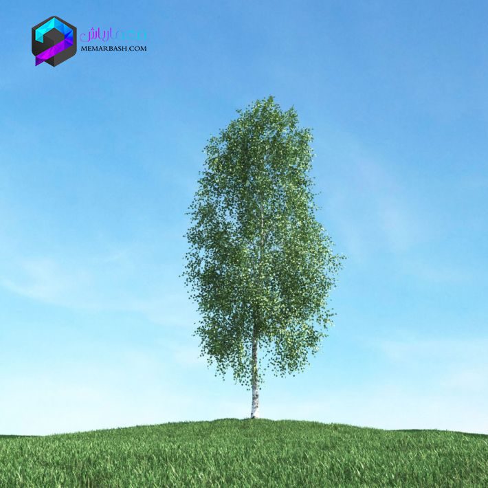 مدل سه بعدی درخت 007 3Dsmax | Vray