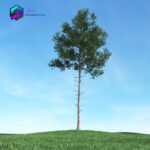مدل سه بعدی درخت 015 3Dsmax | Vray | Tree memarbash.com 015