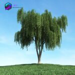مدل سه بعدی درخت 016 3Dsmax | Vray | Tree memarbash.com 016