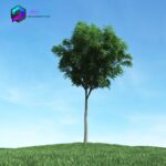 مدل سه بعدی درخت 017 3Dsmax | Vray | Tree memarbash.com 017