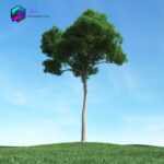 مدل سه بعدی درخت 021 3Dsmax | Vray | Tree memarbash.com 021