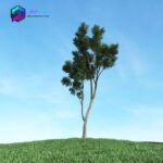 مدل سه بعدی درخت 022 3Dsmax | Vray | Tree memarbash.com 022