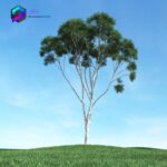 مدل سه بعدی درخت 024 3Dsmax | Vray | Tree memarbash.com 024