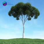 مدل سه بعدی درخت 025 3Dsmax | Vray | Tree memarbash.com 025