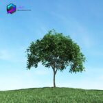 مدل سه بعدی درخت 030 3Dsmax | Vray | Tree memarbash.com 030