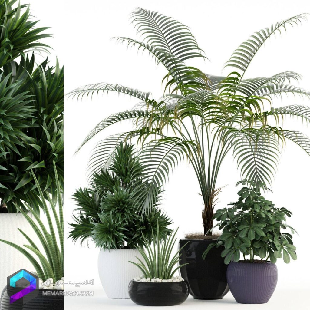 مدل سه بعدی گل و گلدان | Plants collection 86