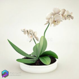 مدل سه بعدی گل و گلدان | White orchids in a pot