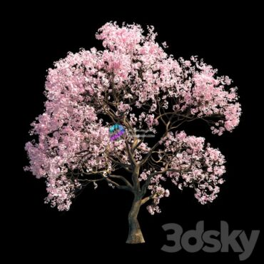 درختچه ی صورتی مدل سه بعدی Sakura  9
