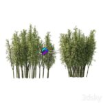 مدل سه‌بعدی خوشه‌های بامبو طبیعی | 2 Bamboo Clusters 2