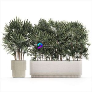 A Collection of Lush Bushes of Thickets of Plants 0