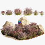 مدل سه‌بعدی بوته‌های اسطوخودوس برای باغ و تپه‌های آلپاین | A set of lavender bushes for the garden and alpine slide 1191 0
