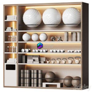A wall with a rack for gym equipment 2 0
