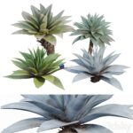 مدل سه‌بعدی آگاو با طراحی مدرن | Agave 03