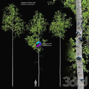 Aspen tree set 0