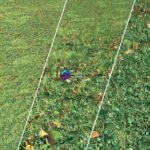 مدل سه‌بعدی چمن پاییزی طبیعی | Autumn grass memarbash.com