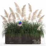 مدل سه‌بعدی چمن پامپاس سفید در گلدان فلزی زنگ‌زده | Bush white pampas grass in a street rusty metal pot 1033