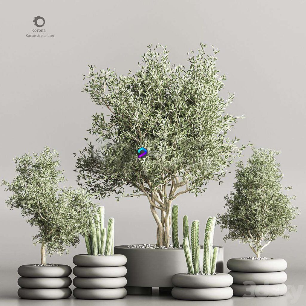مدل سه‌بعدی گیاهان آپارتمانی و درختان تزئینی