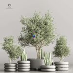 مدل سه‌بعدی گیاهان آپارتمانی و درختان تزئینی | Cactus plant vol 06