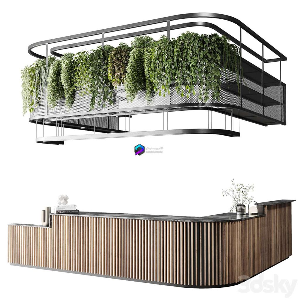میز بار و پذیرش کافه با گیاهان آویز | Coffee shop reception Restaurant counter by hanging plant
