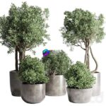 مدل سه‌بعدی گیاهان آپارتمانی در گلدان بتنی | Collection Outdoor Indoor plant 53 concrete dirt vase pot tree bush 0