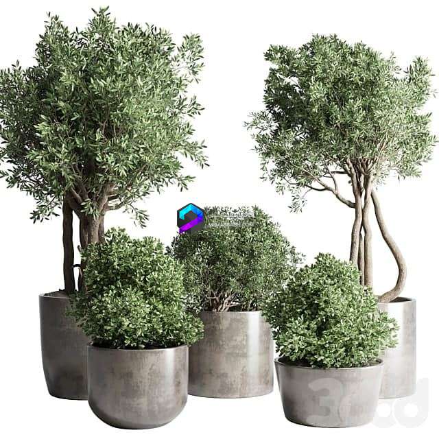Collection Outdoor Indoor plant 53 concrete dirt vase pot tree bush 0