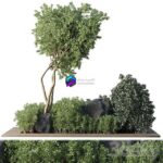 مدل سه‌بعدی درخت و پوشش گیاهی تزئینی | Collection Outdoor Indoor plant 67 0