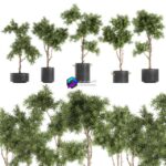 مدل سه‌بعدی درختان تزئینی در گلدان‌های مشکی | Collection of decorative trees in black pots topiary Set 751