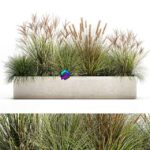 مدل سه‌بعدی گلدان گیاهان زینتی مدرن | Collection of plants in a pot Set 1074 0