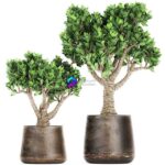 مدل سه‌بعدی درخت مصنوعی با گلدان فلزی | Collection of plants in metal pots with flower Crassula. Set 930 0