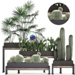 مدل سه‌بعدی مجموعه گیاهان کوچک تزئینی | Collection of small plants Set 462 0