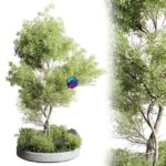مدل سه‌بعدی درخت تزئینی با پوشش گیاهی | Collection outdoor indoor 85 pot plant tree bush 0