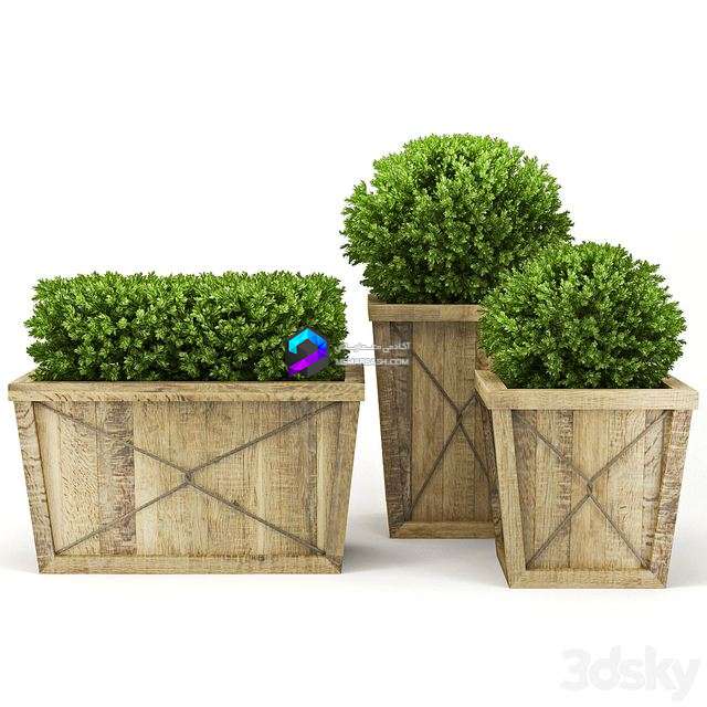 Collection_of_Plants_V 0