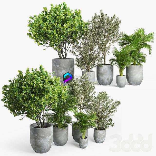 Concrete set, plants 0