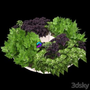 Decor with herbs 0
