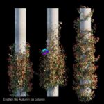 مدل سه‌بعدی پیچک انگلیسی با رنگ‌های پاییزی بر روی ستون | English Ivy Autumn on column