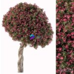 مدل سه‌بعدی درخت گلدار تزئینی | Flower Tree Set 104 0
