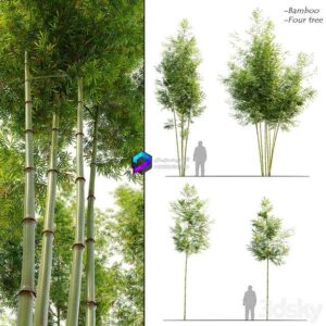 Four Bamboo Tree 0