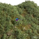 مدل سه‌بعدی پوشش گیاهی طبیعی برای طراحی منظر | GRASS COLLECTION FOR LANDSCAPE NO12