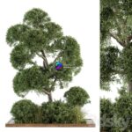 مدل سه‌بعدی درخت و بوته‌های تزئینی | Garden set Tree and Bush Garden Set 16 0