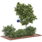مدل سه‌بعدی درخت و بوته‌های تزئینی | Garden set bush and Tree Set01 0