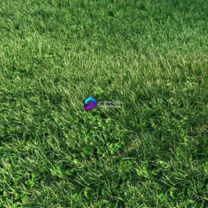 Grass 0