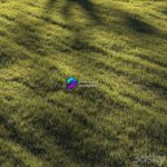 مدل سه‌بعدی چمن طبیعی | Grass Lawn
