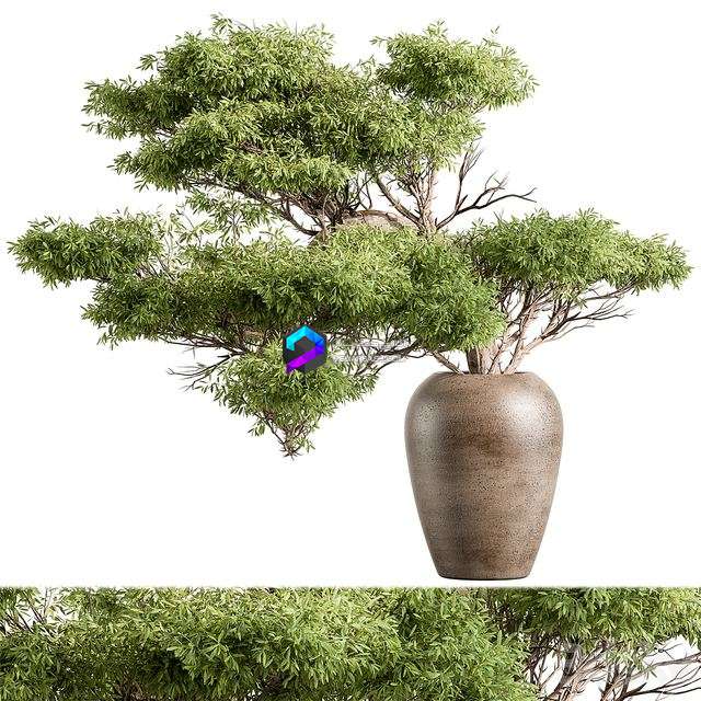 Green Branch 116 0
