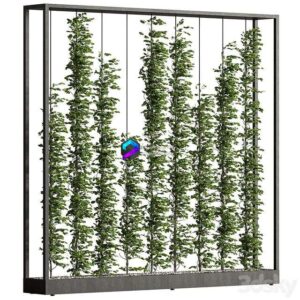 Green Wall - Plants partition 06 1