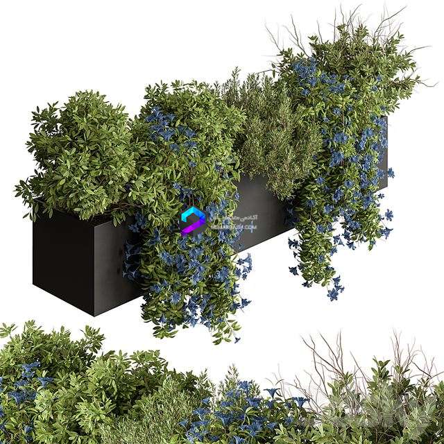 Hanging Plant - Outdoor Plants 503 0