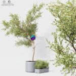 مدل سه‌بعدی گیاه آپارتمانی در گلدان مدرن | Indoor Plant 010 0