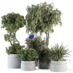 مدل سه‌بعدی مجموعه گیاهان آپارتمانی در گلدان‌های خاکستری | Indoor Plant Set 341 Tree and Plant Set in Gray Pot