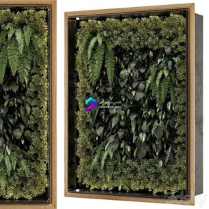 Indoor Wall Vertical Garden in Wooden Base - Set 523